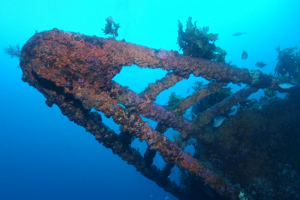 Rainbow Wreck - New Zealand