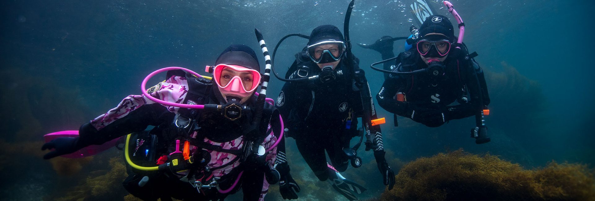 Vielen Dank für einen großartigen PADI Women’s Dive Day 2020