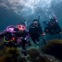 PADI Womens Dive Day - Catalina - Underwater