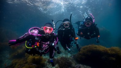 PADI Womens Dive Day - Catalina - Underwater
