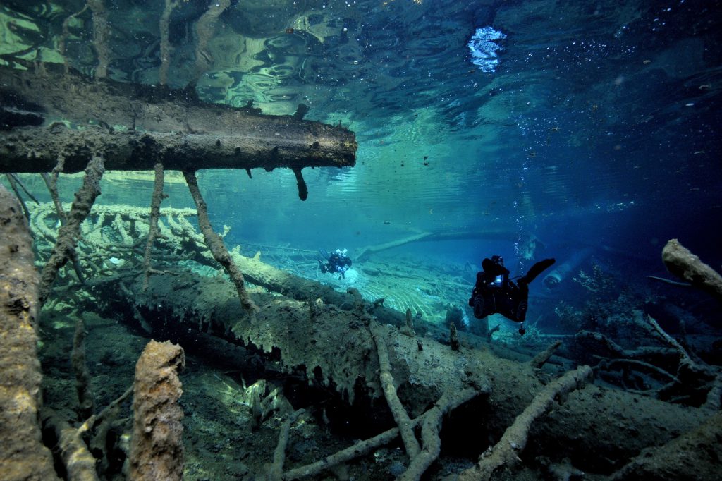 A diver explores in freshwater with fallen trees.