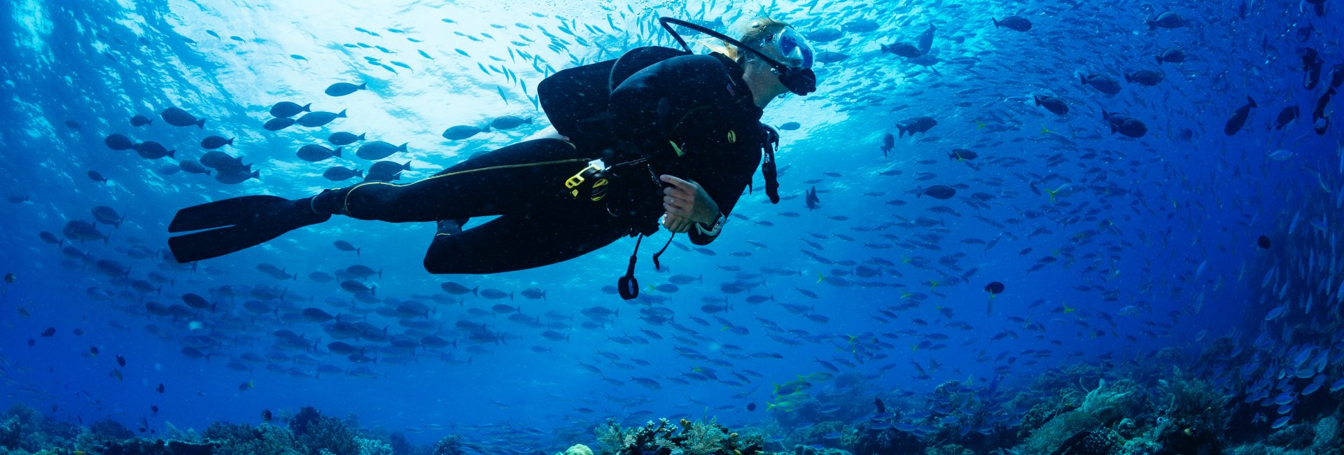 Scuba Diving Solo: What You Need to Know