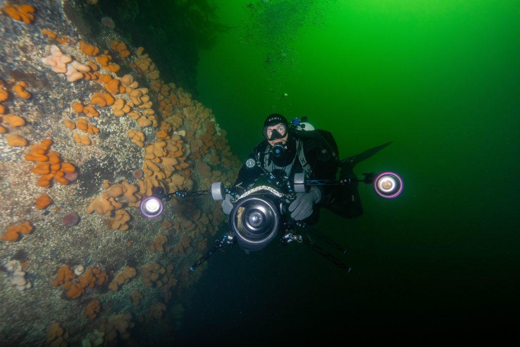 Top 5 Dive sites in the UK: Loch Carron