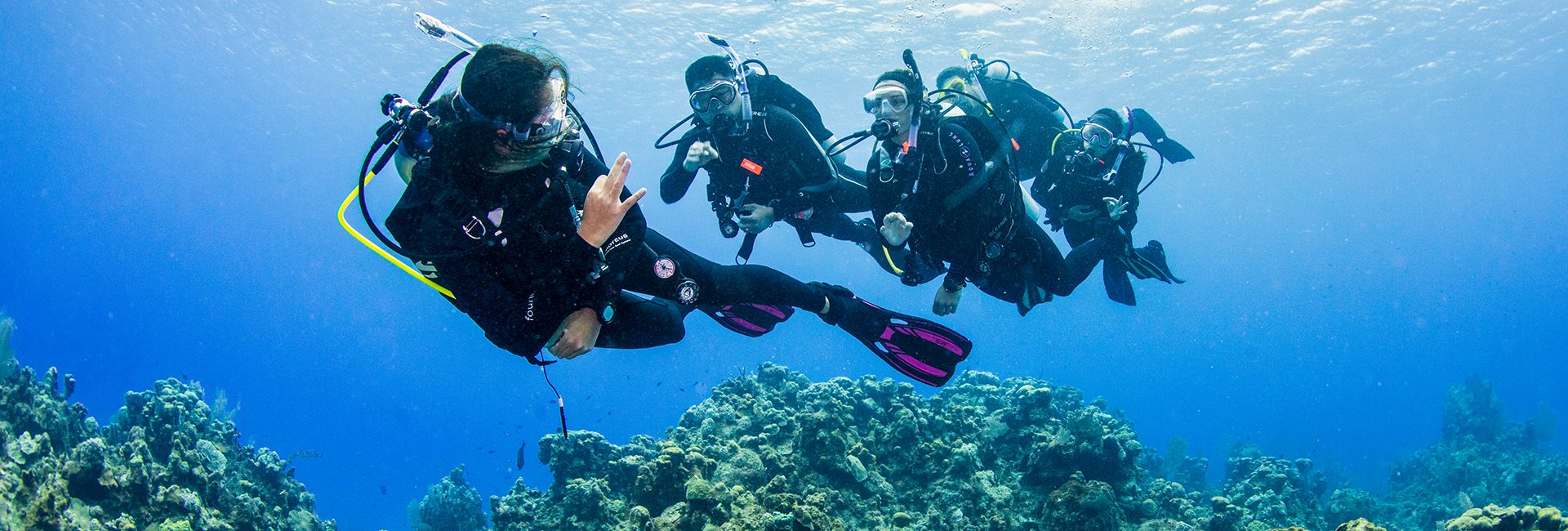 PADI 课程标准新增一项水下手势！还有其他常用手势，你学会了吗？