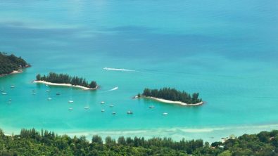 Langkawi - Malaysia - Ocean - Trees