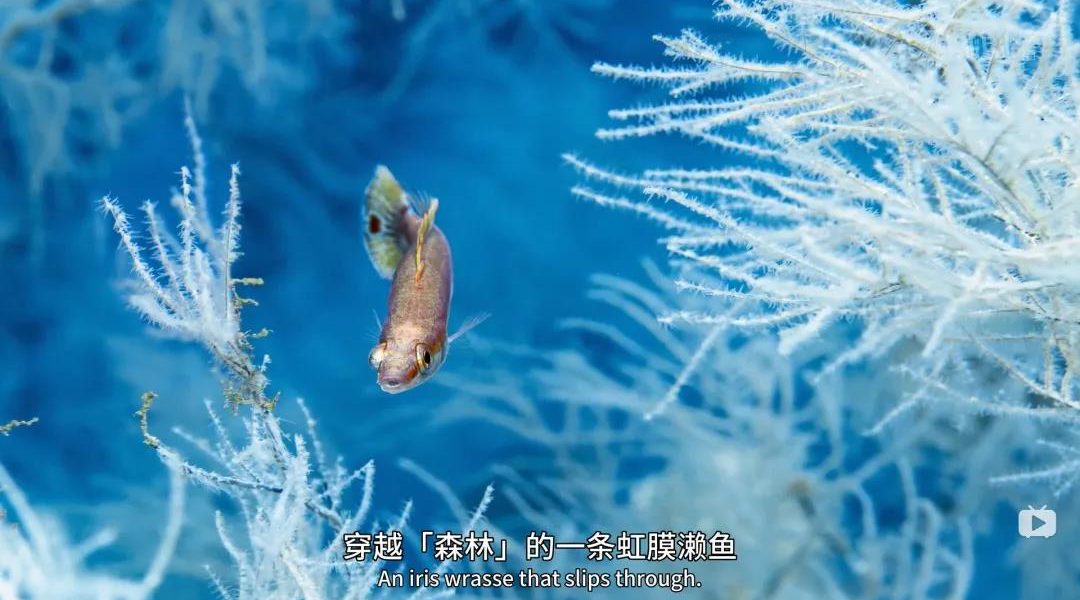 不发朋友圈的潜水员都干嘛去了？
