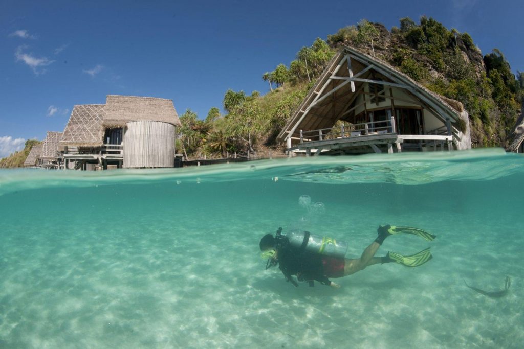 Seagrass - The Ocean Foundation