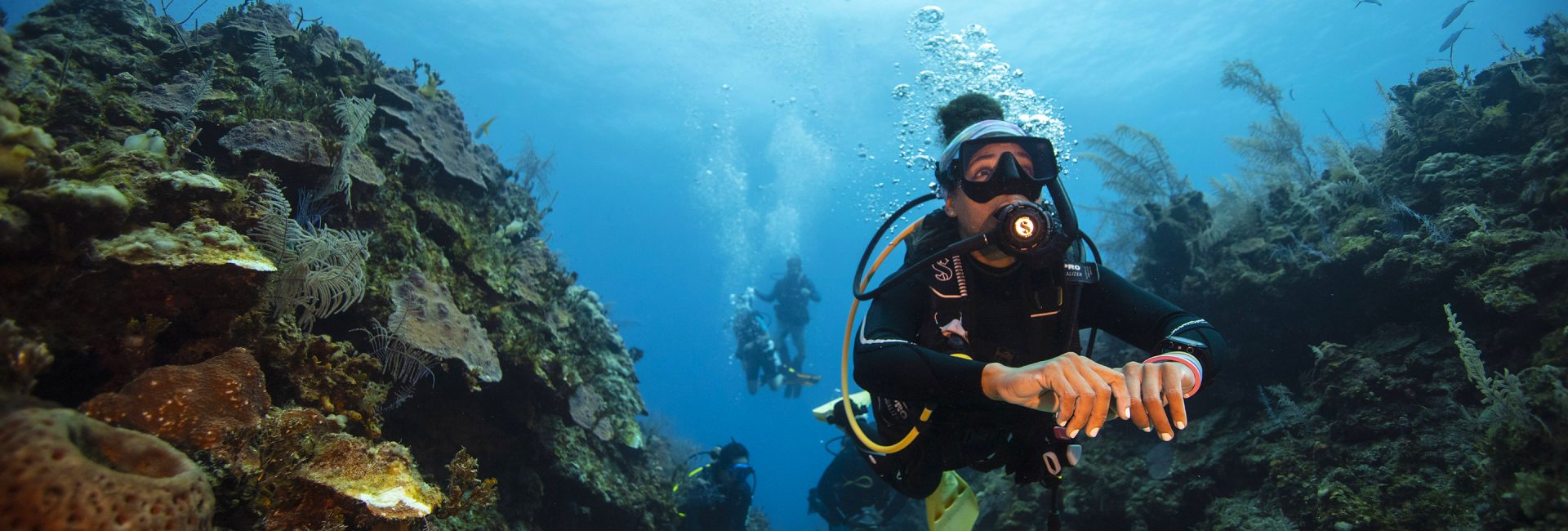7 Reasons To Join PADI Club