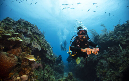 padi diver swimming in the bahamas