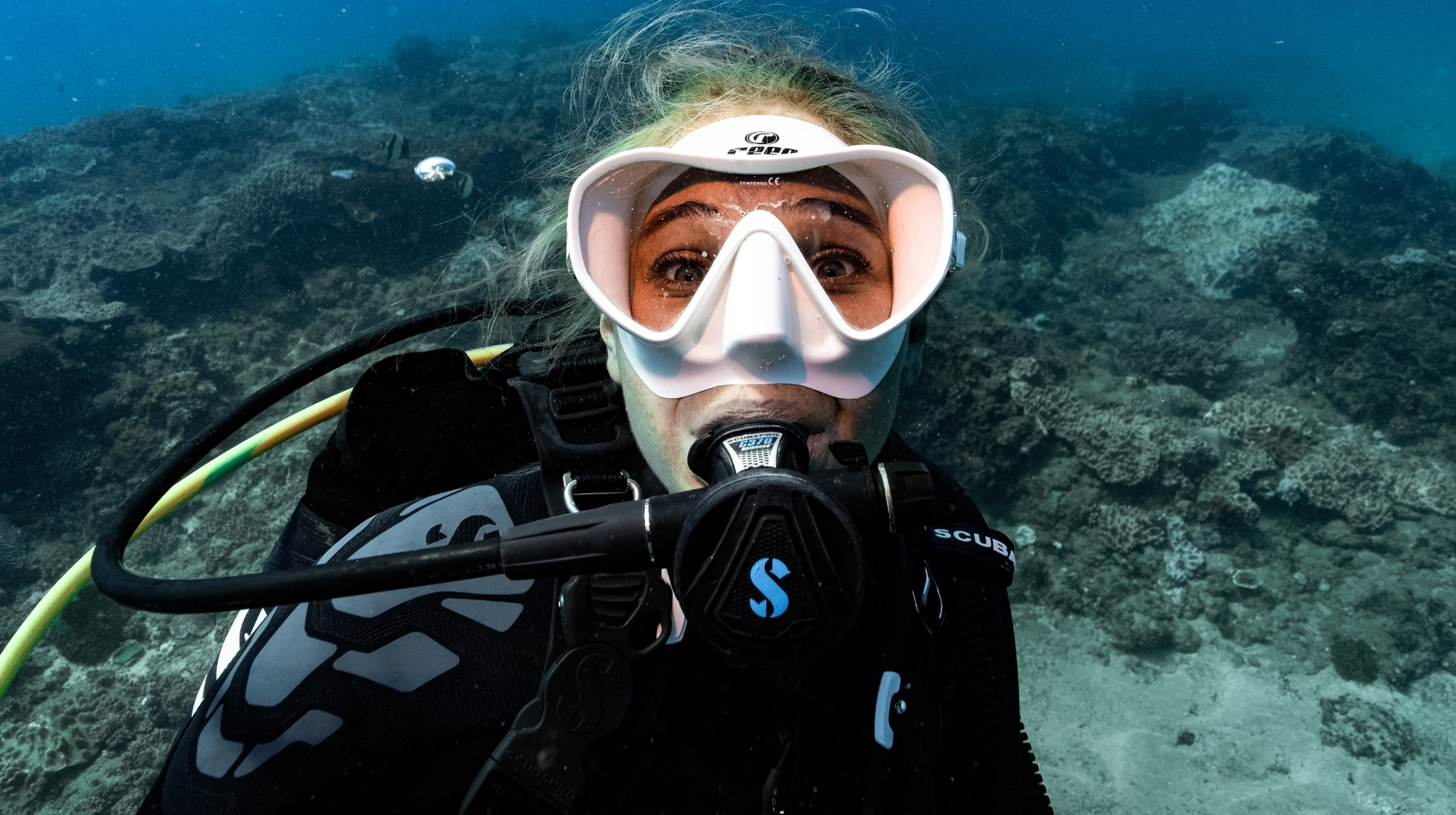 AmbassaDiver diving in the ocean, looking surprised. 