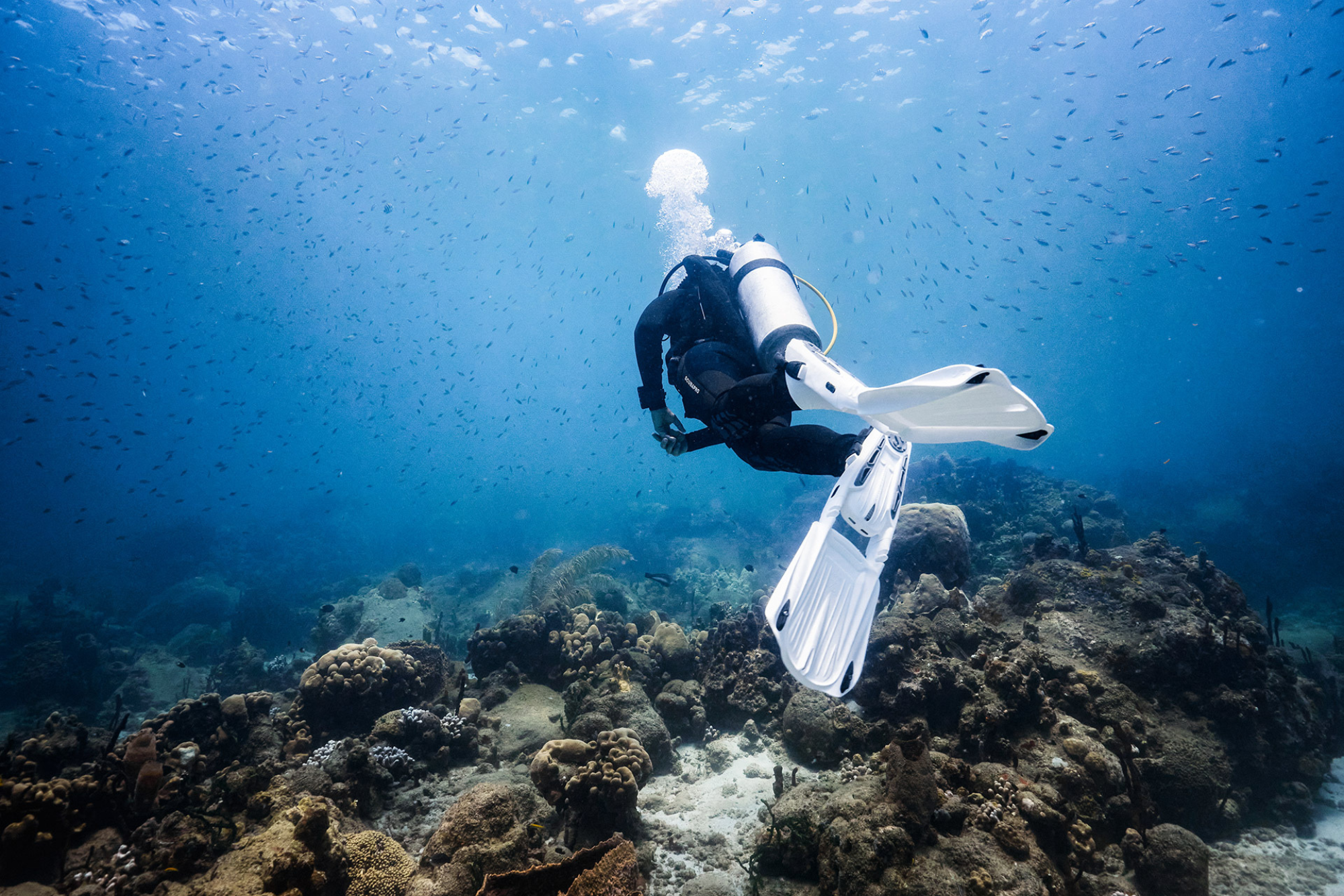 Mergulhador explorando um recife de coral