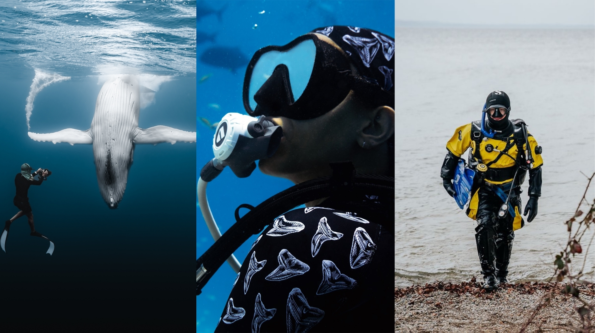 Three AmbassaDivers doing different forms of diving.