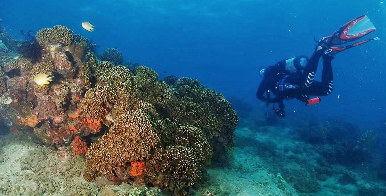 Diving Jakarta and Surabaya in Java, Indonesia