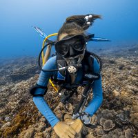 InkaCresswell_Diving