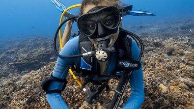 InkaCresswell_Diving