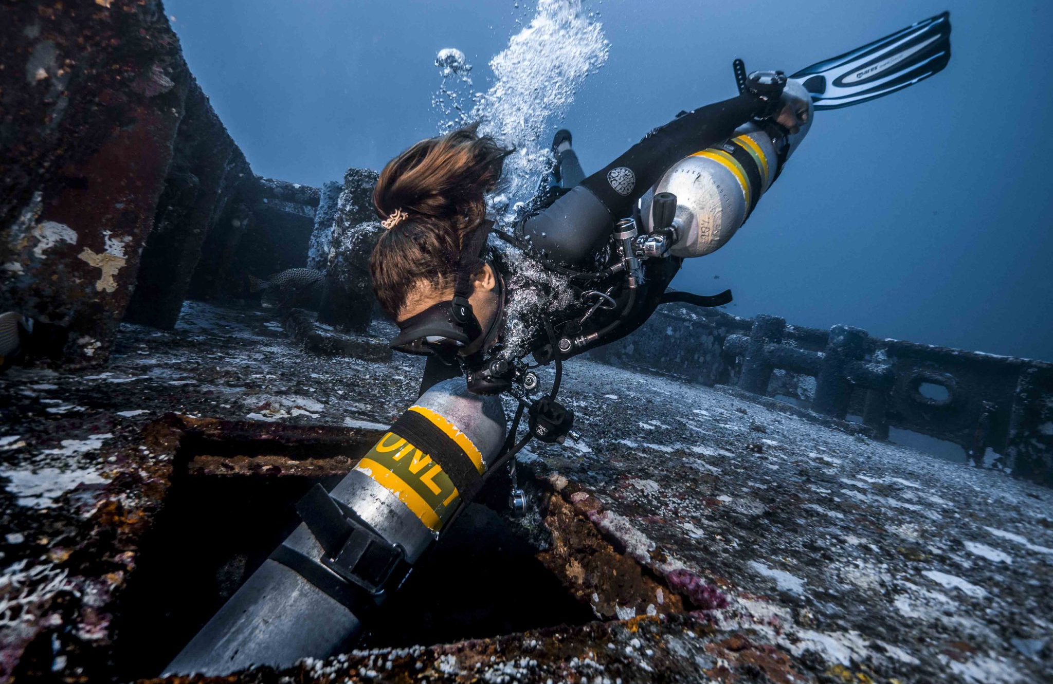 Free Online Underwater Photography / Filmmaking for Conservation Action  with Inka Cresswell - Girls Who Click