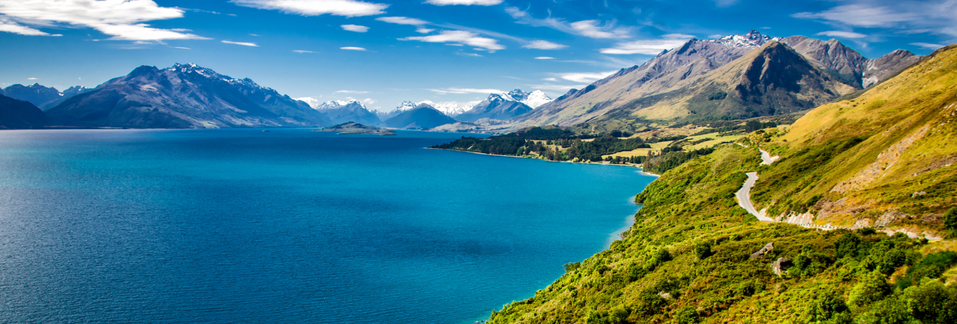 Best PADI Specialty Courses to Take When Diving in New Zealand