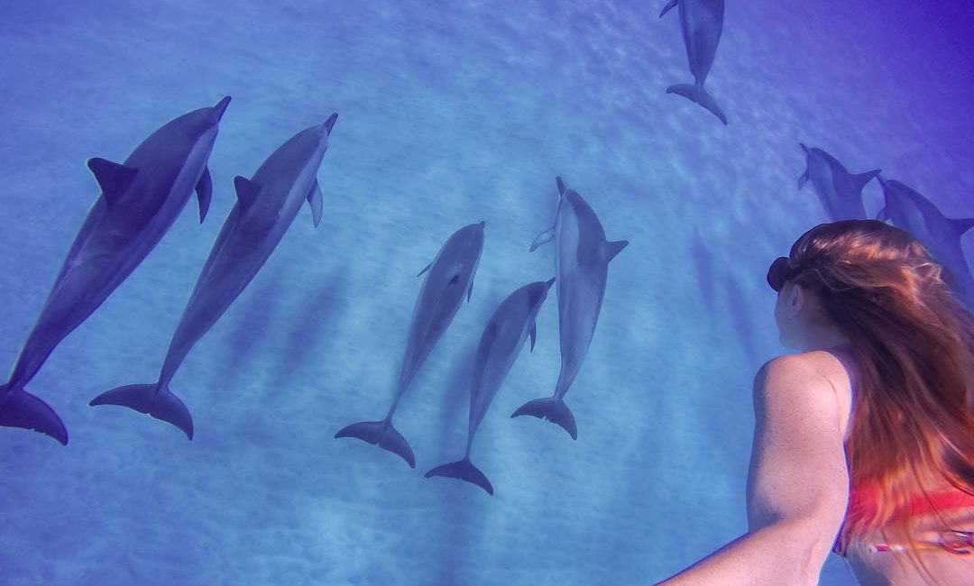 Underwater Selfie Day – Let’s Flood Social Media With Love for Our Oceans