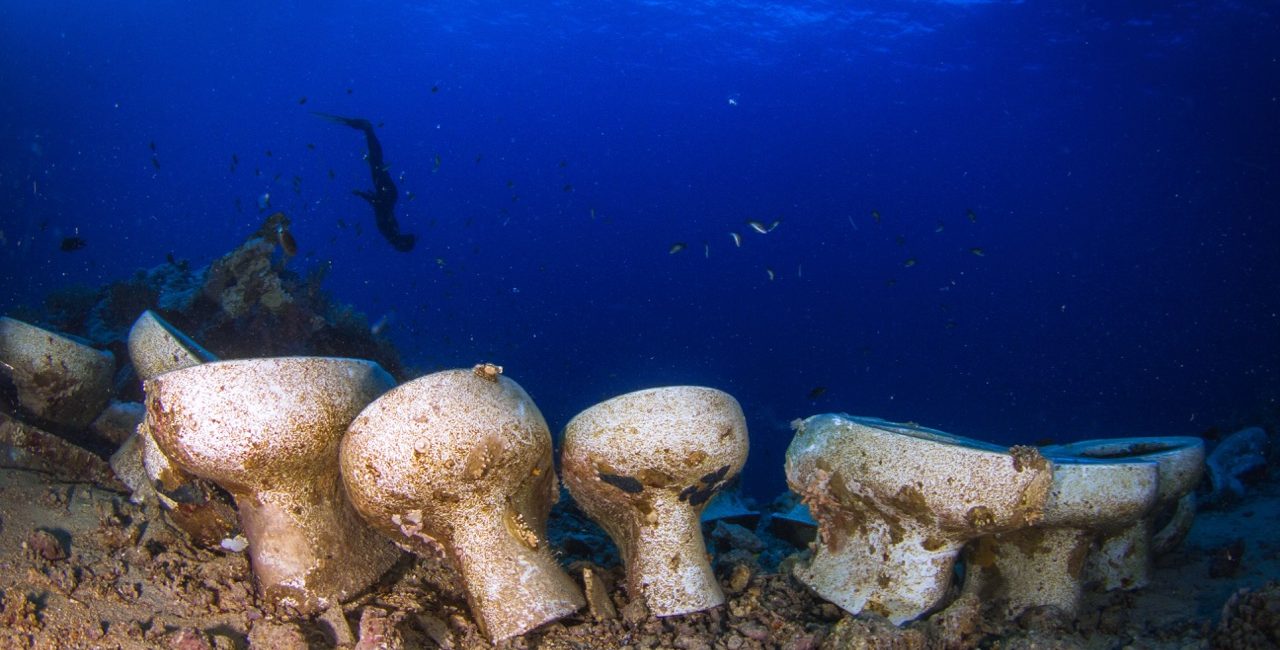 可在 PADI Adventures 上预订的 13 个独一无二的潜水活动