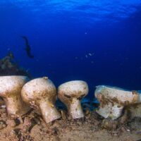 unique dive sites
