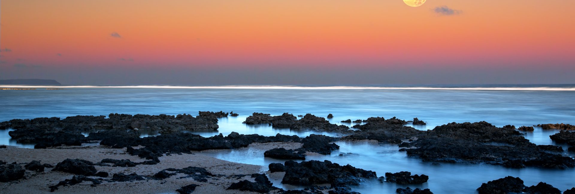 The Moon and Marine Life