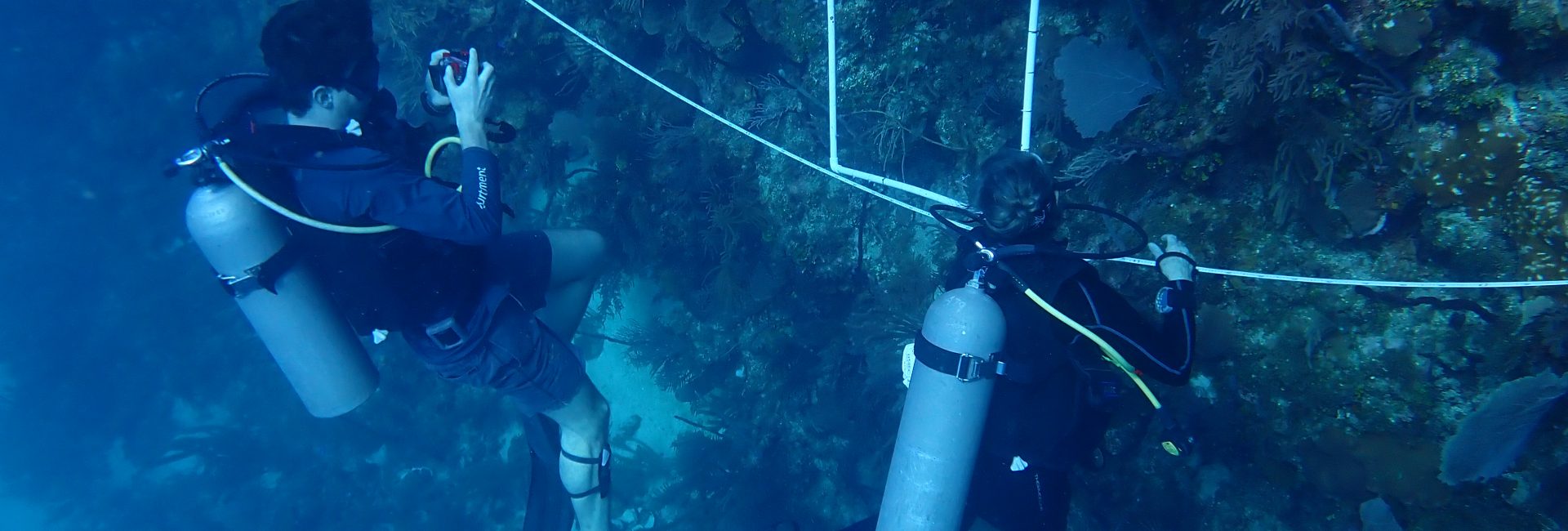 Diving into Science: Meet the Next Generation of Marine Biologists