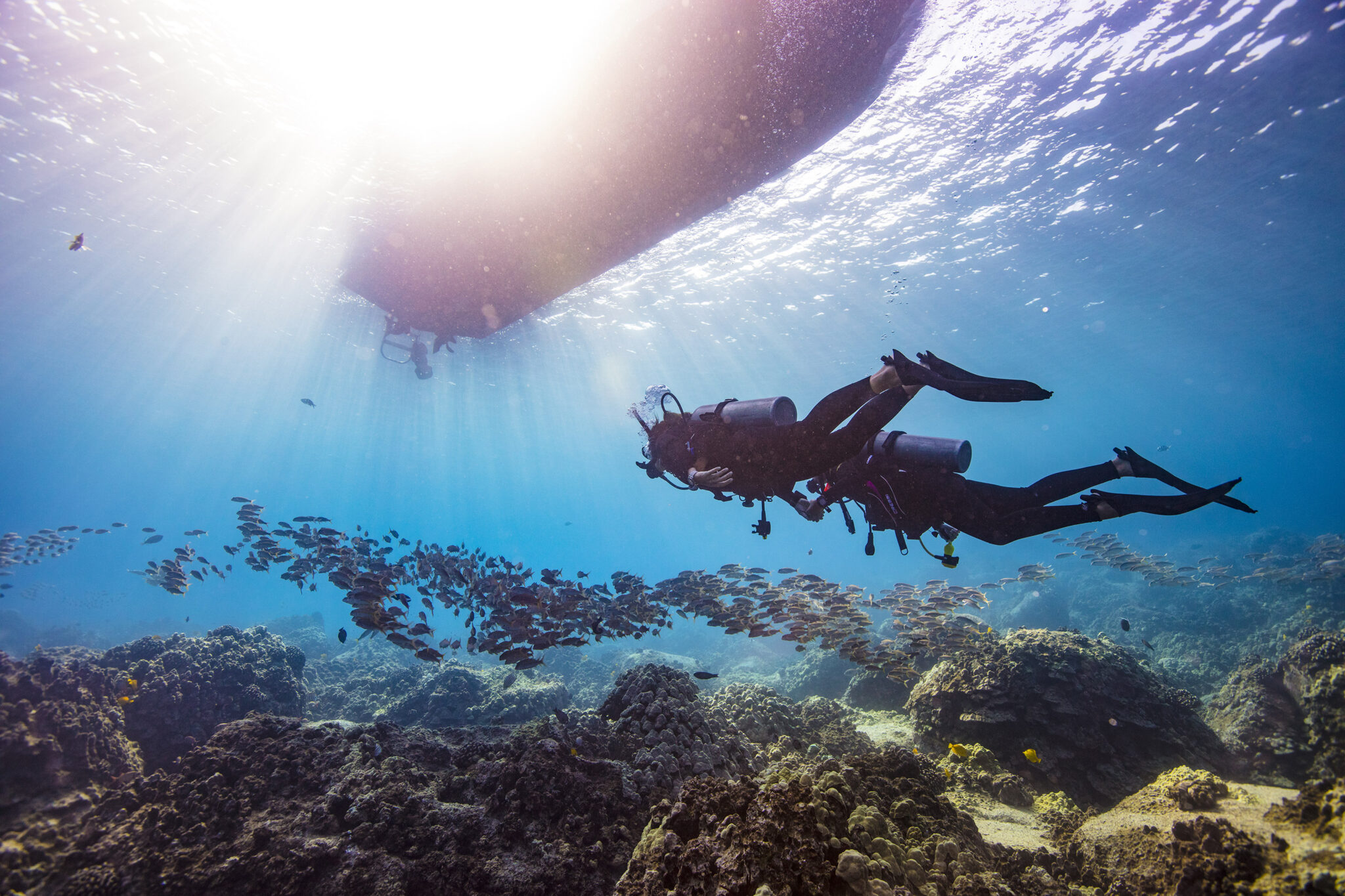 two divers in Hawaii