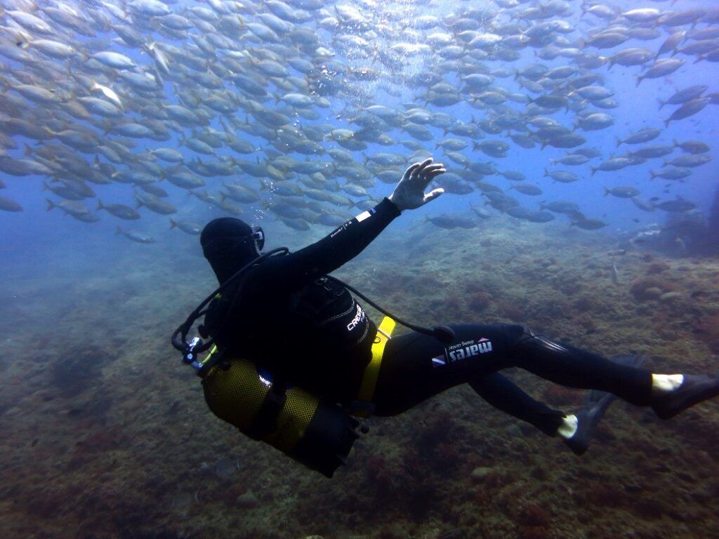 Places to Dive in France - Marseille and Calanques National Park