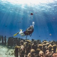 underwater sculptures of people at MUSA underwater museum