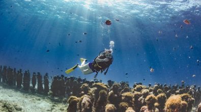 unique dive sites mex