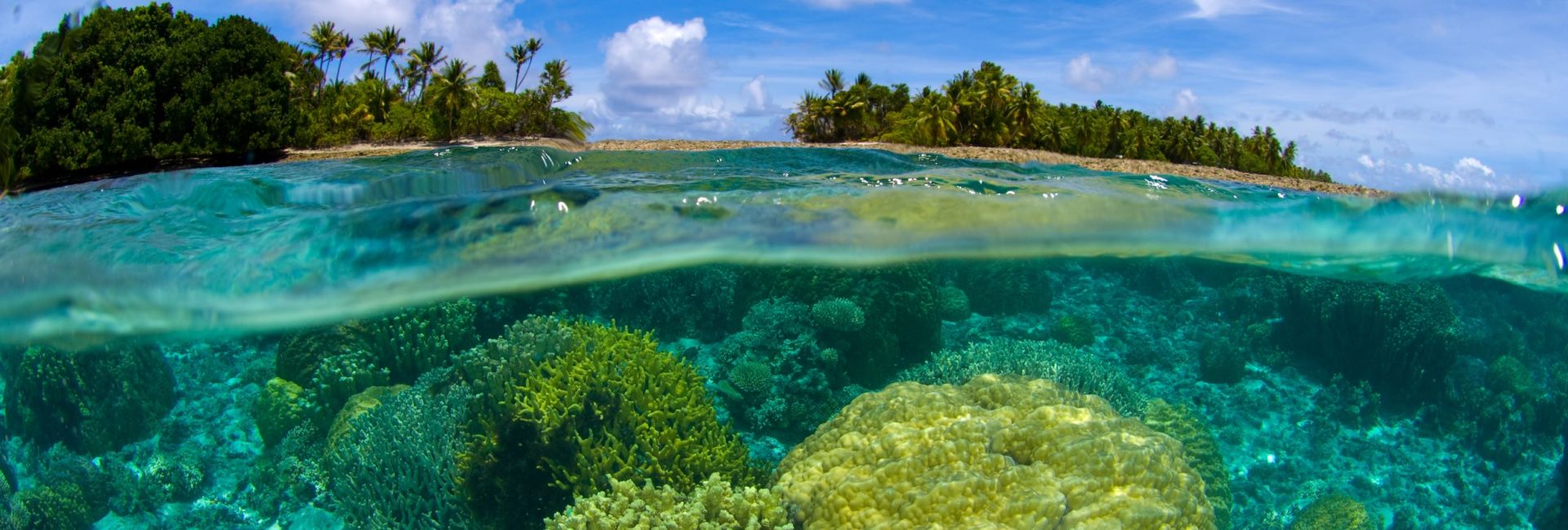 What’s Your Ocean-Saving Super Power?