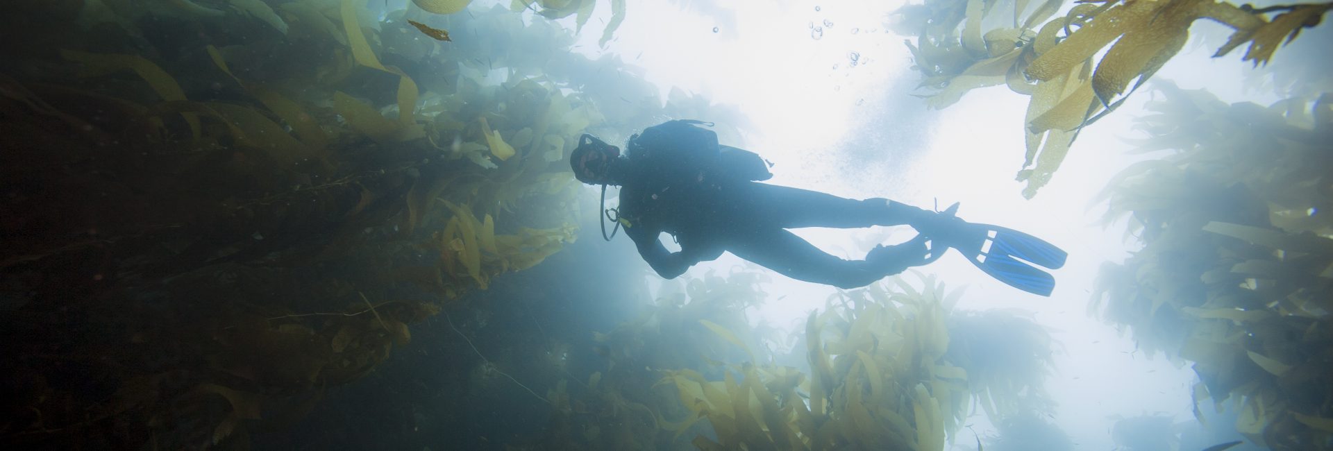 The Best Places to Learn to Dive in the UK & Ireland
