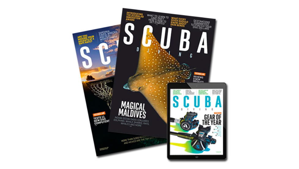 ScubaDivingMagazine PADI Club