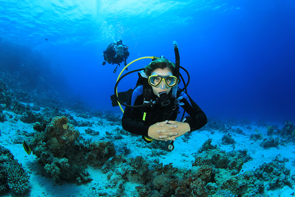 Instructor - PADI - Scuba Diving - Underwater