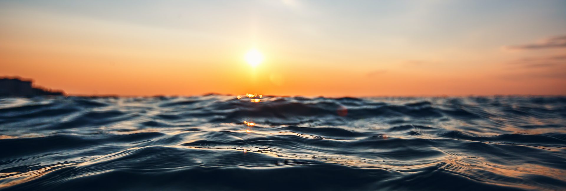 8 Positive News Stories From the Diving Community