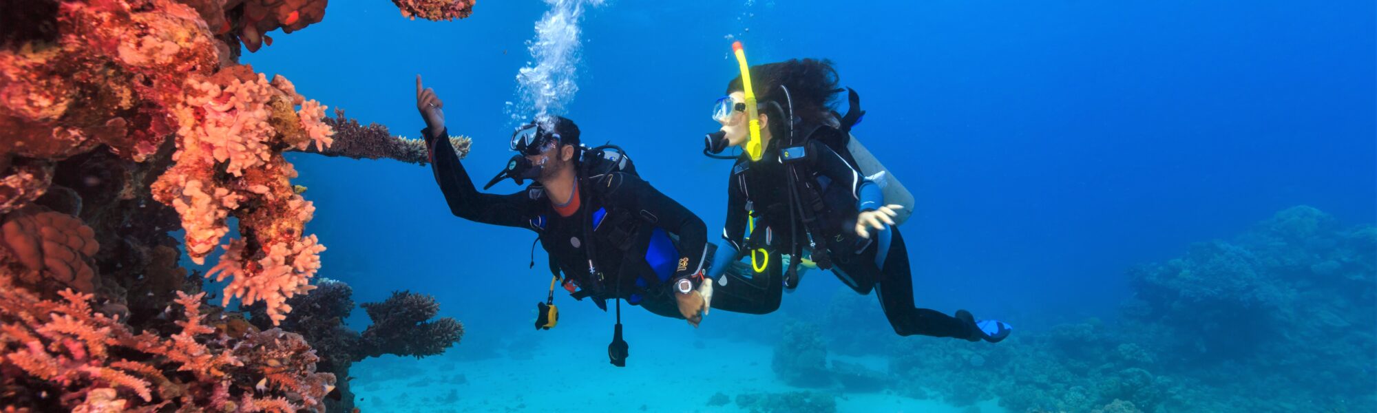 Como Encontrar Oportunidades de Conservação dos Oceanos Perto de Você
