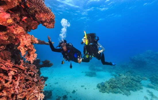 two divers in bonaire doing conservation work