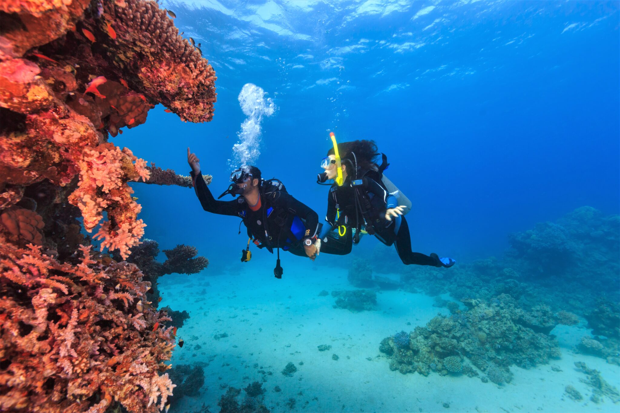 Two divers in Bonaire doing conservation work on a reef