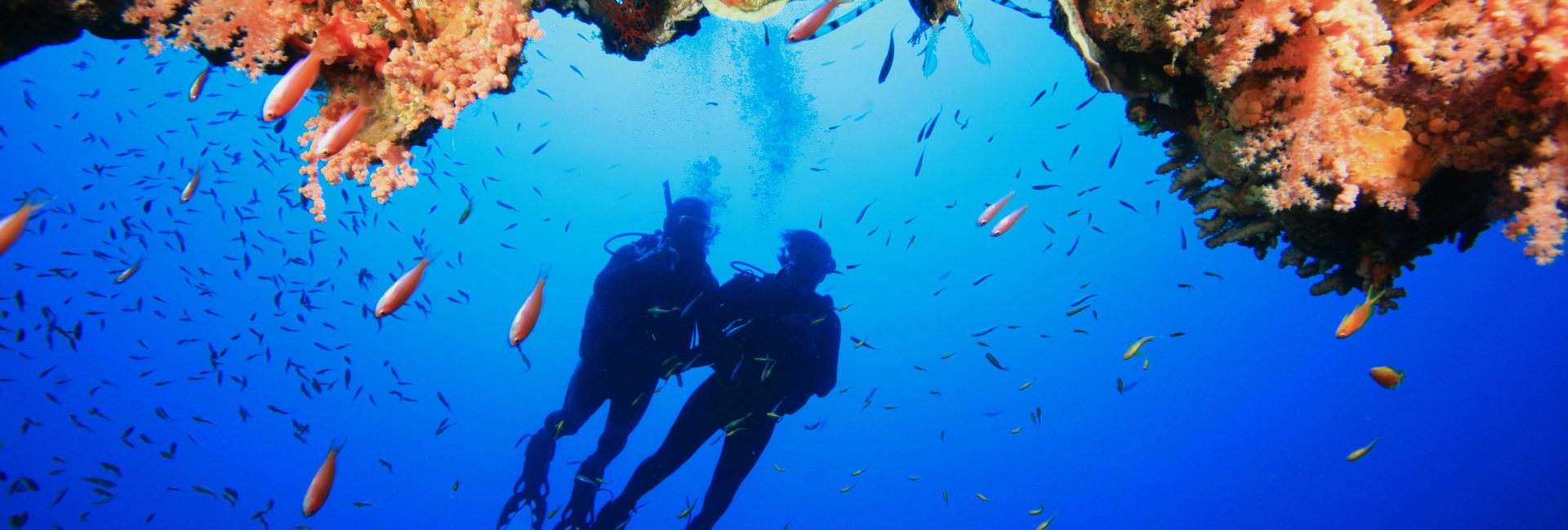 Viaje de buceo responsable en tiempos de COVID
