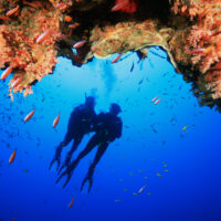 PADITravel_RedSea_Shutterstock