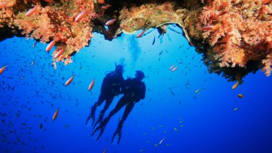 PADITravel_RedSea_Shutterstock