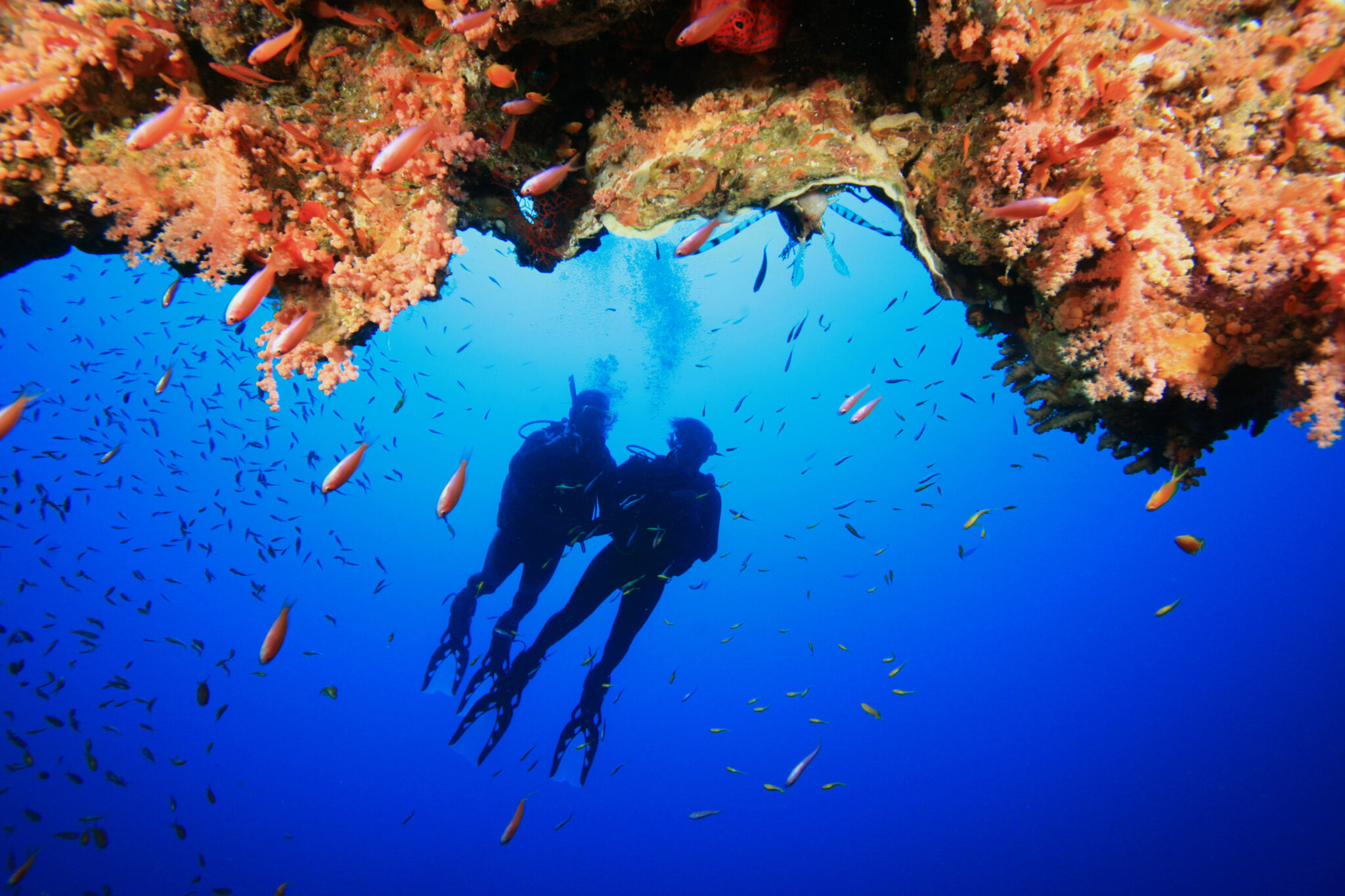 I. Introduction to the Red Sea and diving opportunities