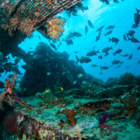 gilis-lombok-indonesia