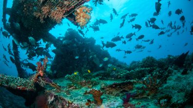 gilis-lombok-indonesia
