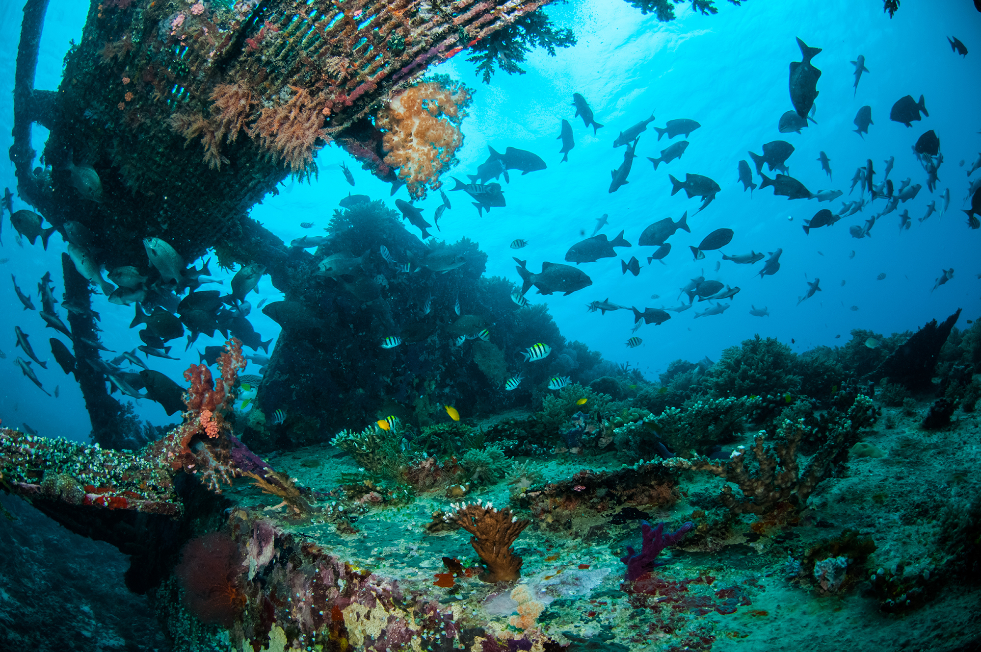 gilis-lombok-indonesia