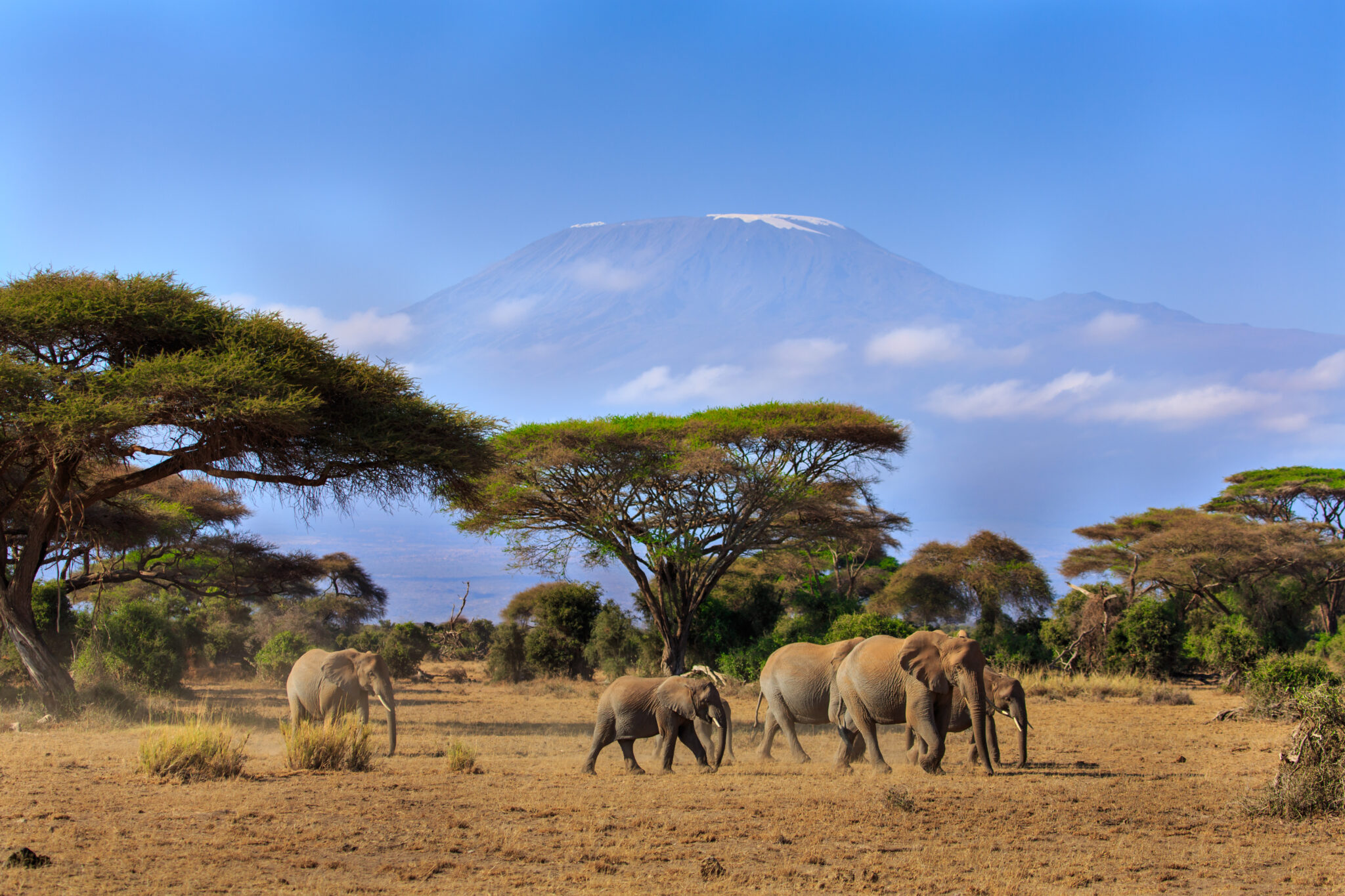 Safari Park Kenya for divers