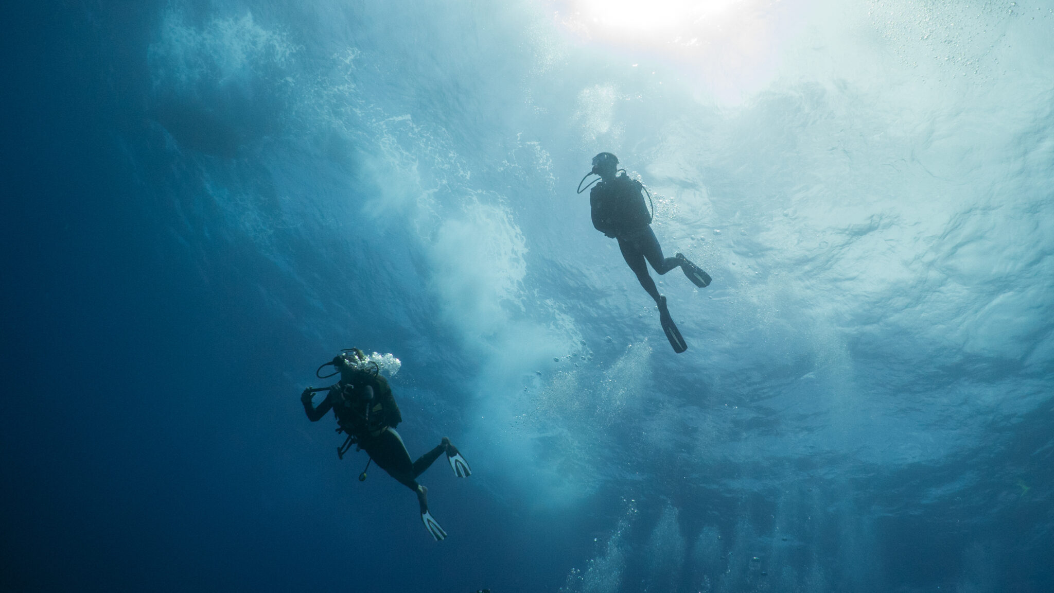 two divers in Kenya