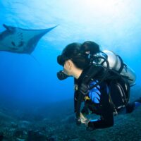 beginners diving in Komodo