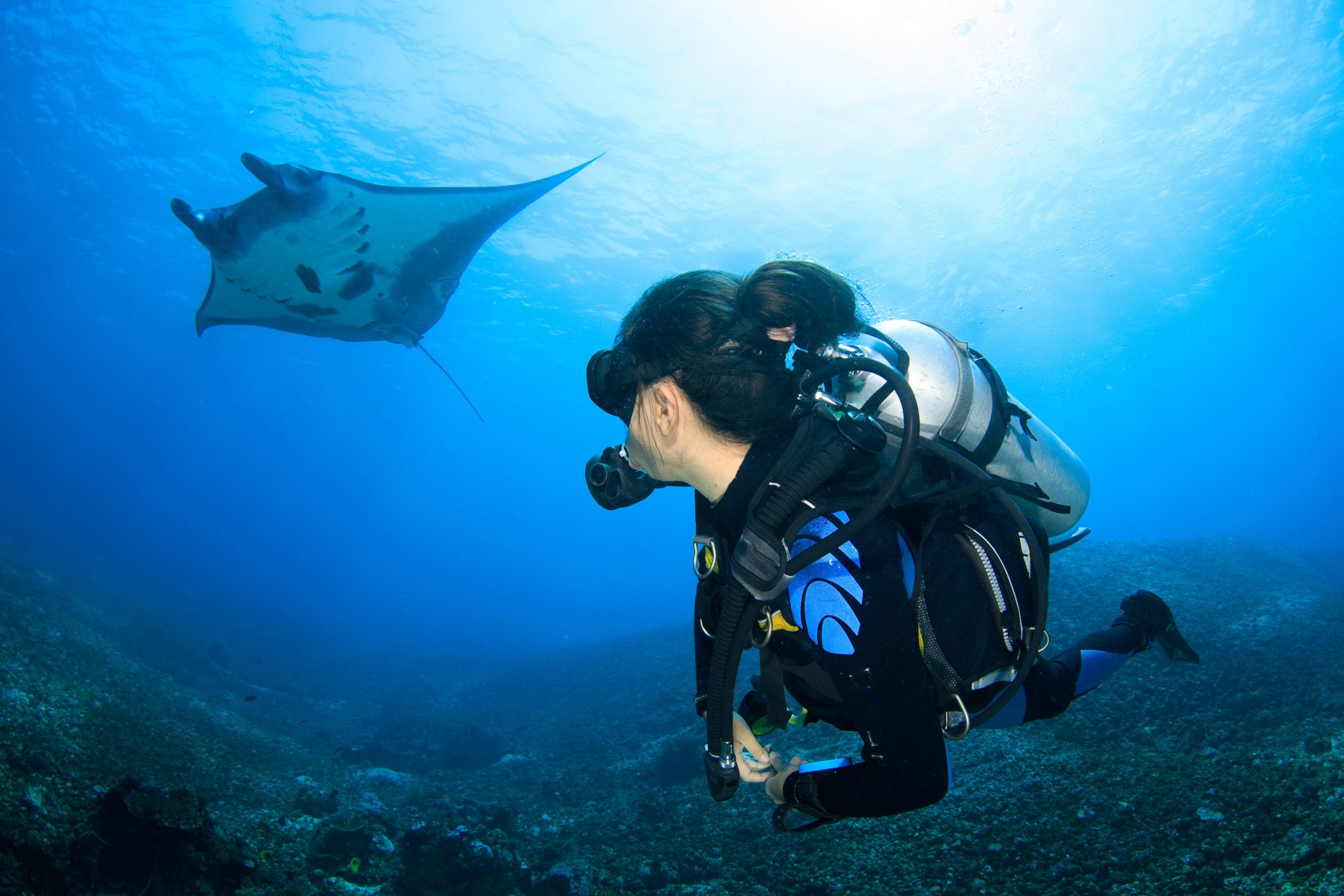 best scuba diving destinations for July - Komodo Indonesia