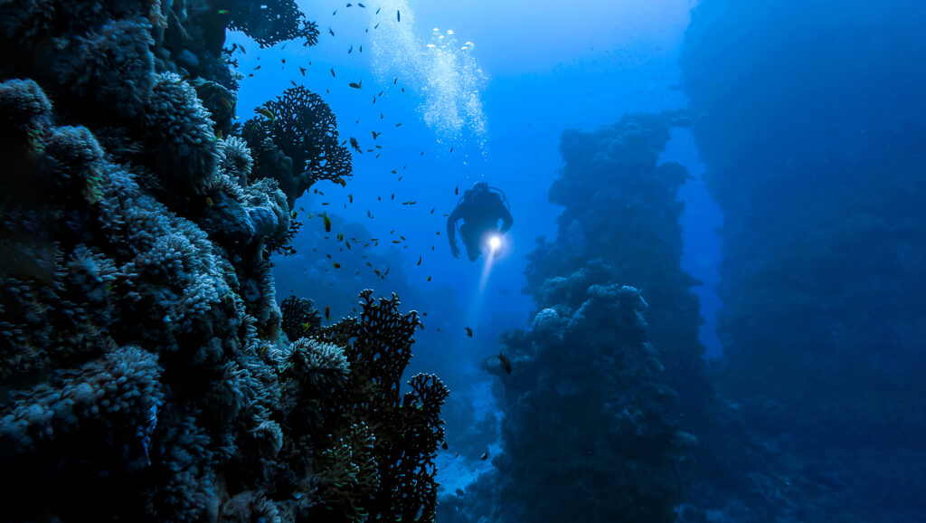 PADI Deep Diver Exploring a deep reef